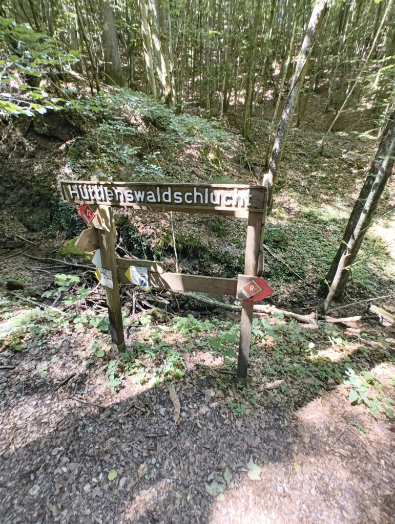 IMG 20260729