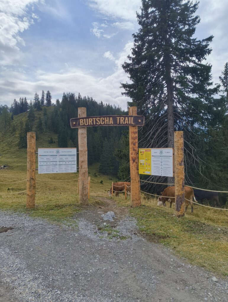 IMG 20260817